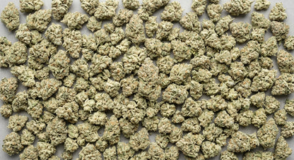 CBG Hemp Flower — White CBG | Wholesale Bulk | 1 lb – 5 lbs — wholesale-spread