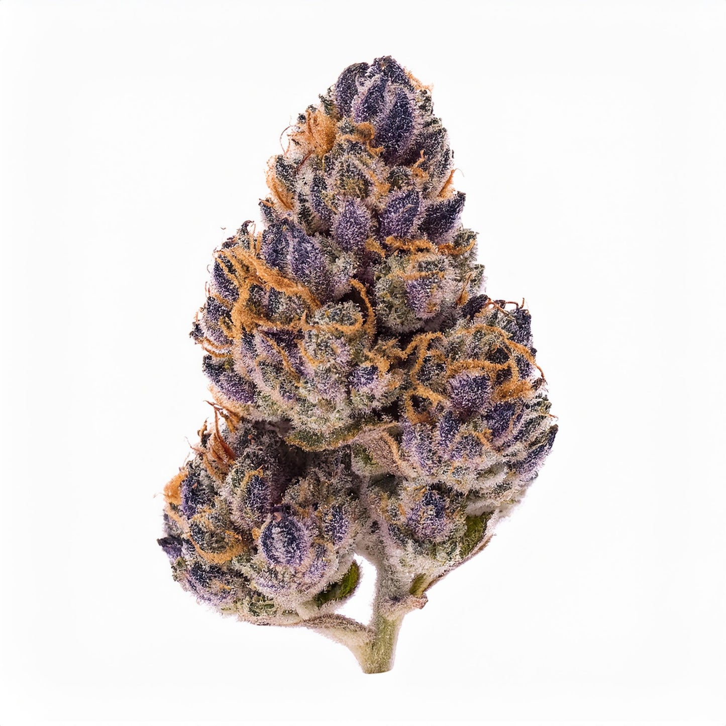 Jealousy THCA Hemp Flower – Exotic Indoor Grown (AAA-Grade)