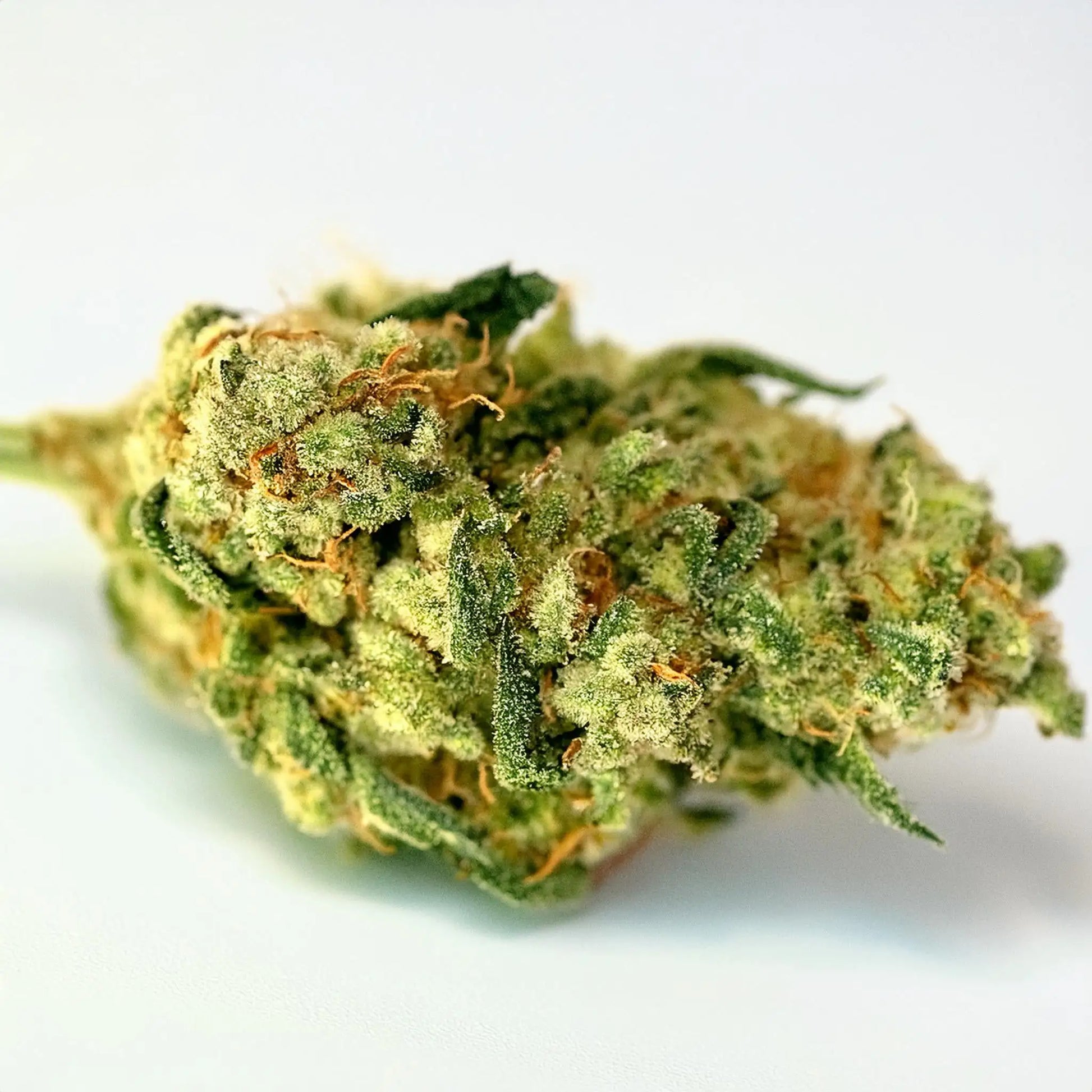 Lemon Sour Diesel THCA Hemp Flower – Indoor Grown (AA-Grade) – AA-grade, indoor-grown hand-trimmed cannabis buds | Hurcann