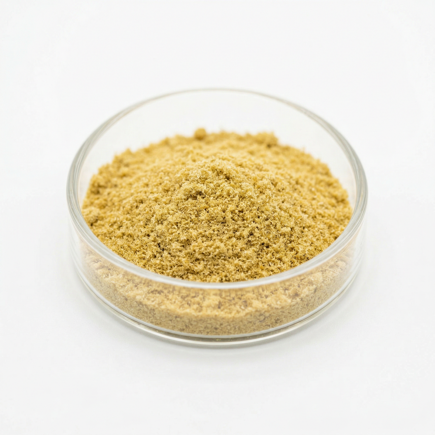THCA kief powder in a glass dish on white background — golden hemp-derived dry-sift trichomes