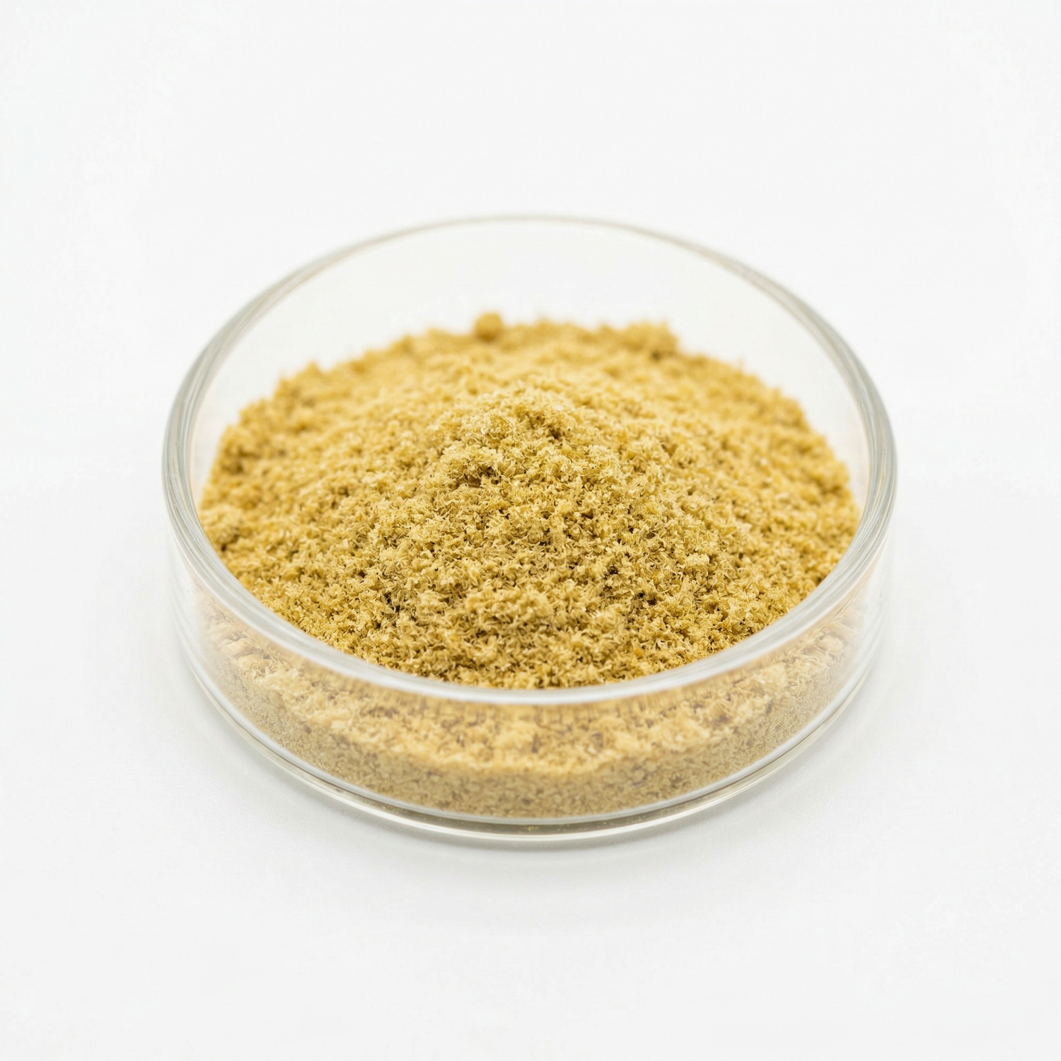 THCA kief powder in a glass dish on white background — golden hemp-derived dry-sift trichomes