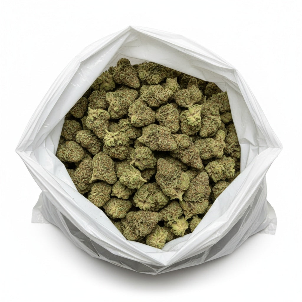 Gary Eyes buds are compact and shimmering, showing deep green hues and purple flecks beneath a frosty trichome layer