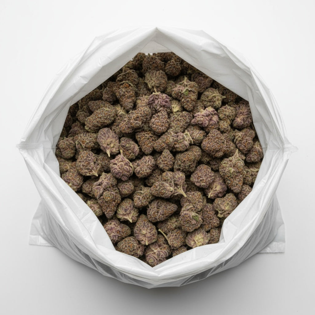 Candy Peaches impresses with bright, peach-toned hues and amber pistils