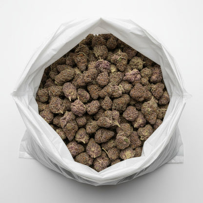 Candy Peaches impresses with bright, peach-toned hues and amber pistils