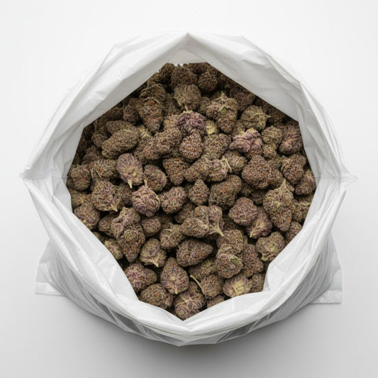 Candy Peaches impresses with bright, peach-toned hues and amber pistils