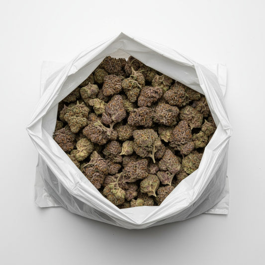 Dense, purple-tinged buds with rich green hues and frosty white trichomes.