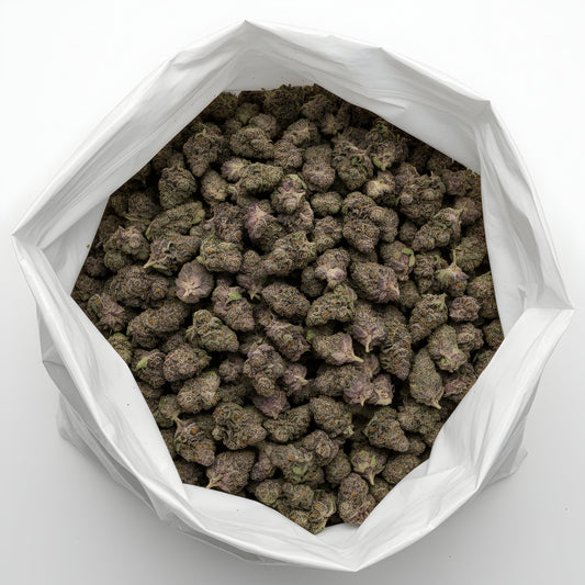 Wholesale photo of Super Boof THCA hemp flower hybrid AAA grade, bulk display of chunky purple buds coated in trichomes, 33 percent THCA, Black Cherry Punch x Tropicana Cookies lineage