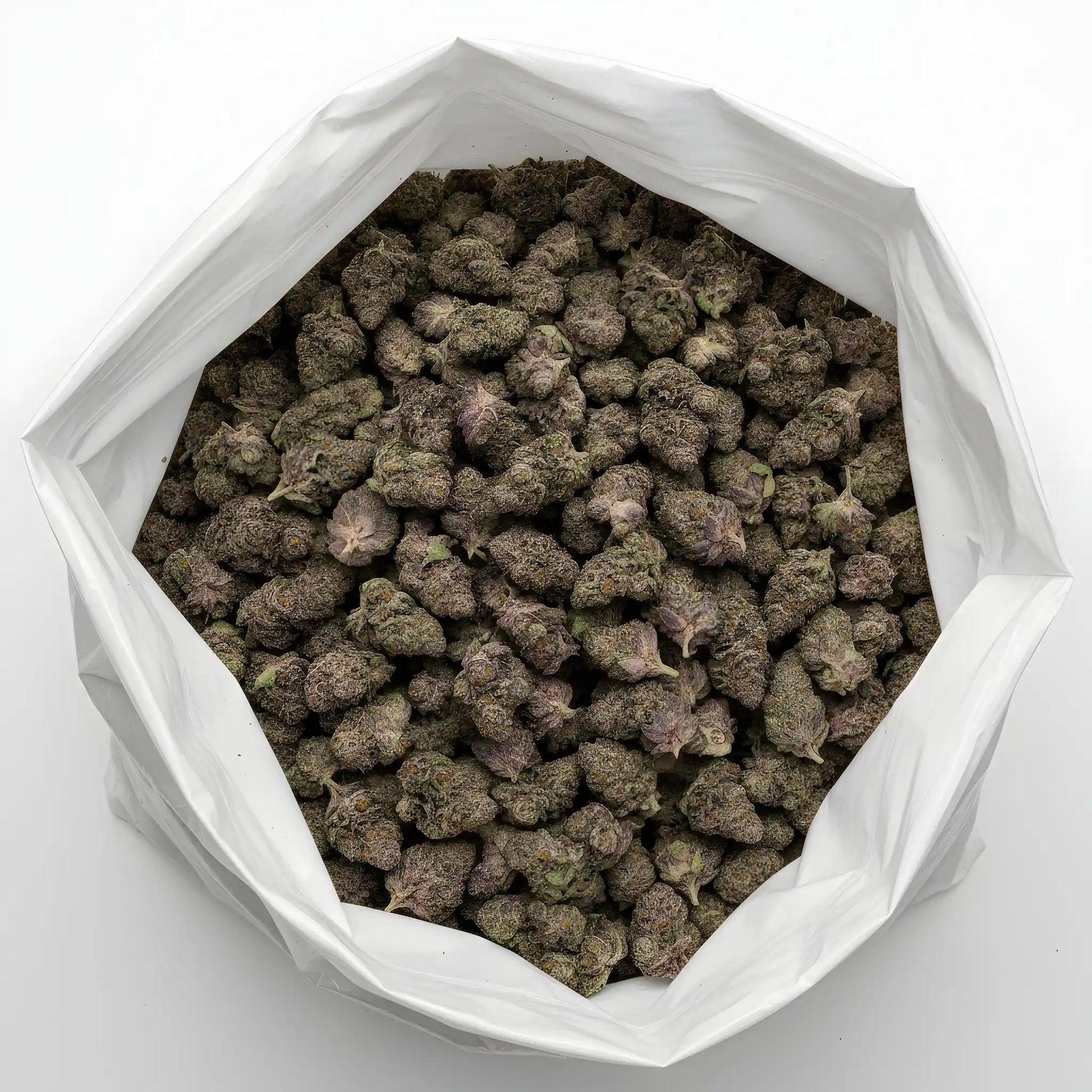 Wholesale photo of Super Boof THCA hemp flower hybrid AAA grade, bulk display of chunky purple buds coated in trichomes, 33 percent THCA, Black Cherry Punch x Tropicana Cookies lineage