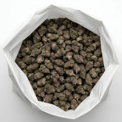 Wholesale photo of Super Boof THCA hemp flower hybrid AAA grade, bulk display of chunky purple buds coated in trichomes, 33 percent THCA, Black Cherry Punch x Tropicana Cookies lineage