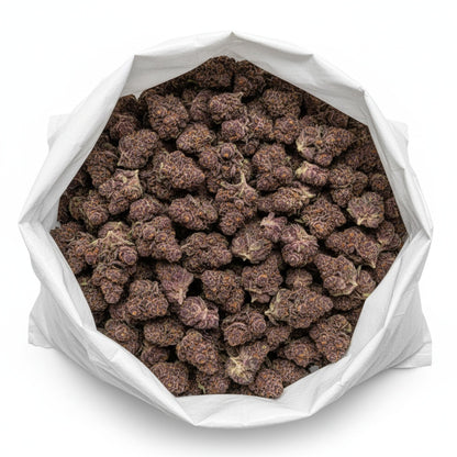 Jealousy’s buds are a visual masterpiece — dark green and purple tones highlighted by orange pistils and a frosty coat of trichomes.