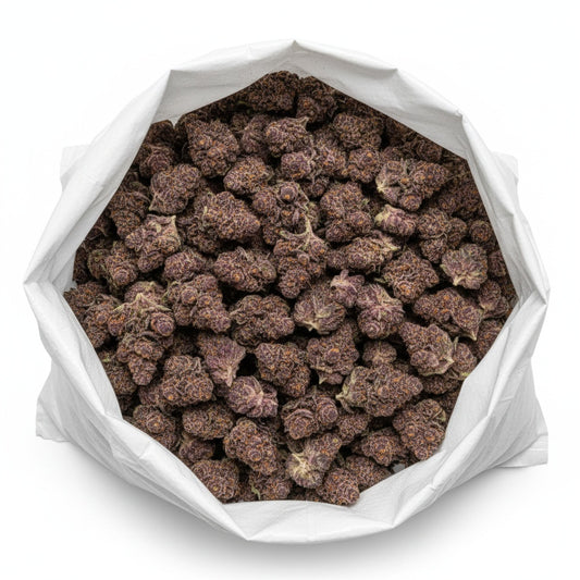 Jealousy’s buds are a visual masterpiece — dark green and purple tones highlighted by orange pistils and a frosty coat of trichomes.