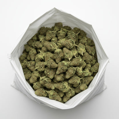 Jungle Fuel a wild, exotic look.