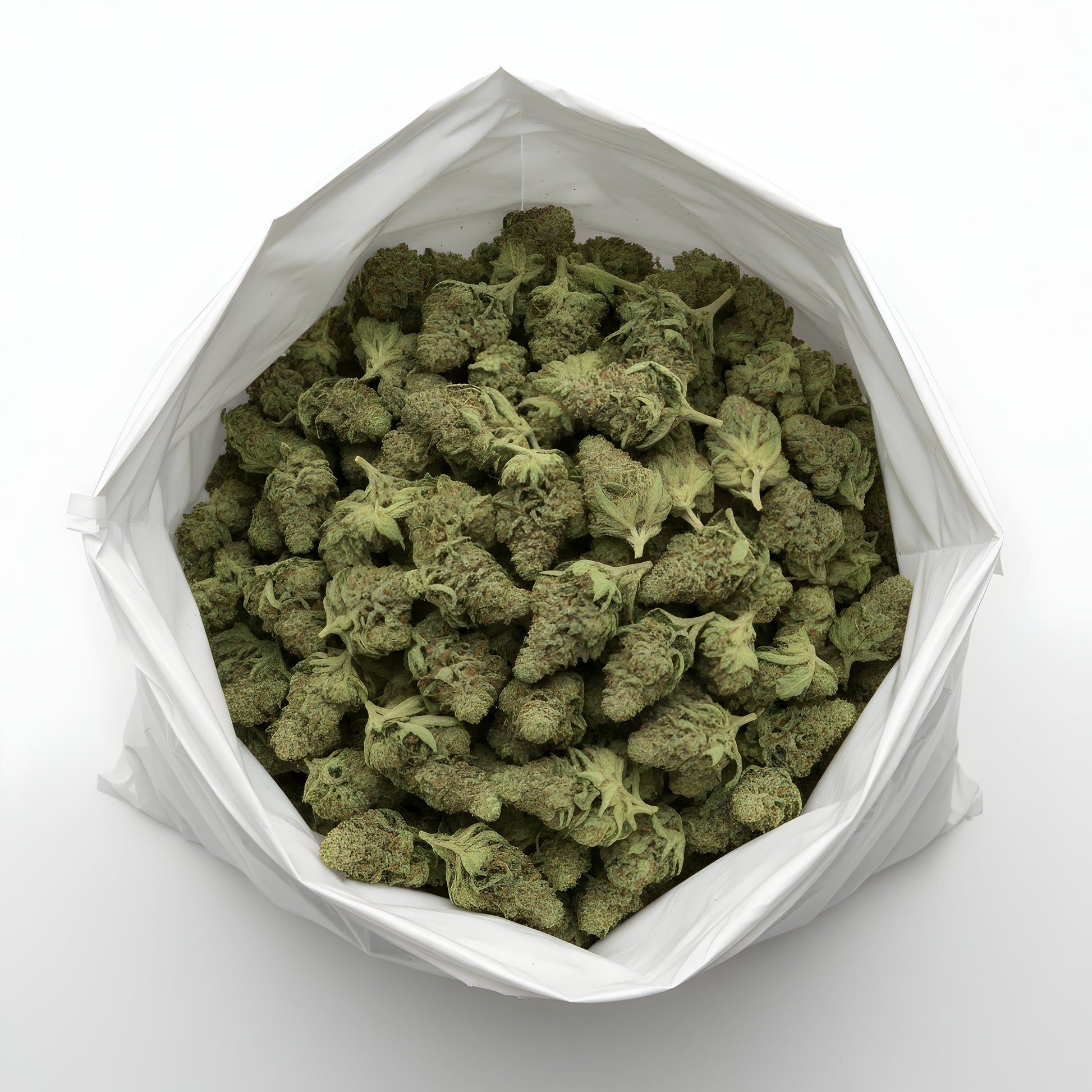 Wholesale photo of Jungle Fuel THCa Hemp Flower featuring bulk AAA-grade hybrid buds with sticky resin