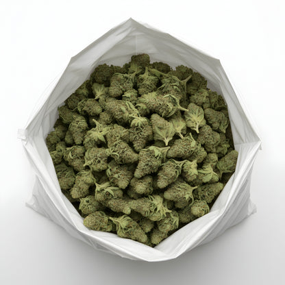 Wholesale photo of Jungle Fuel THCa Hemp Flower featuring bulk AAA-grade hybrid buds with sticky resin