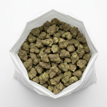 Jokerz buds are vibrant with shades of purple and green wrapped in a dense coat of trichomes. 