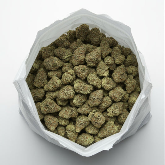 Key Lime Pie features tight, frosty buds with lime-green tones and a silvery trichome coating. 