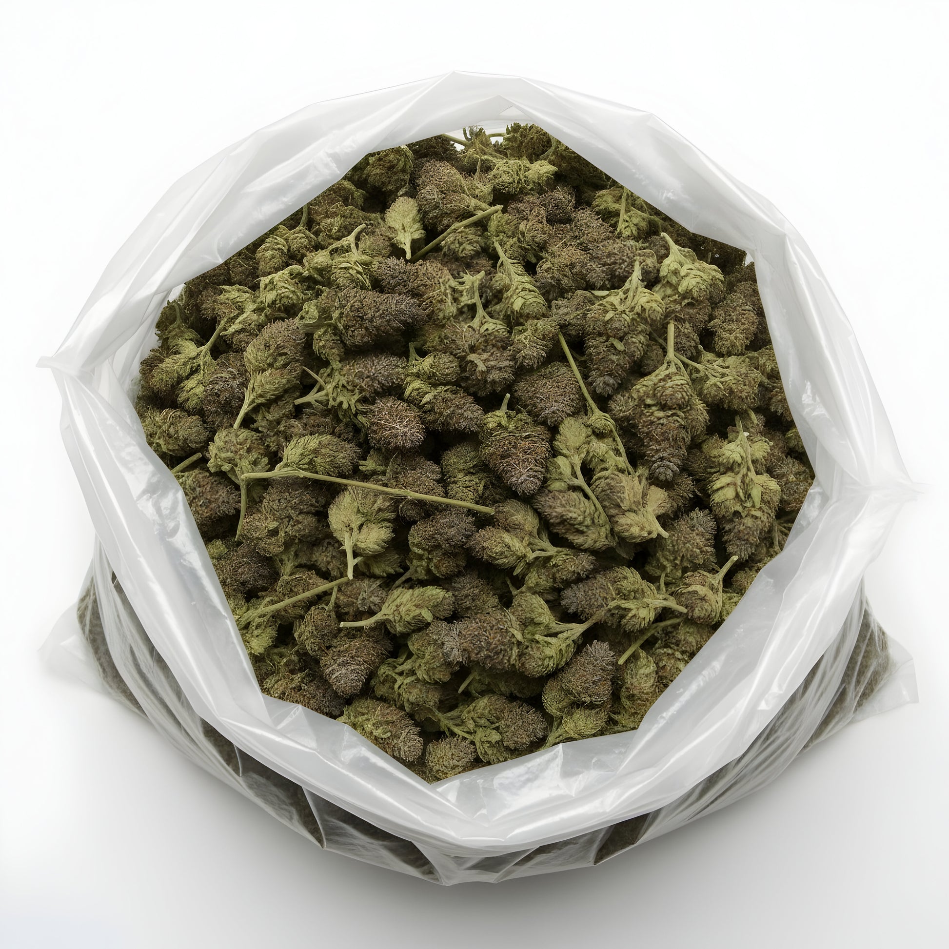 Wholesale photo of Yellow Tail THCa Hemp Flower featuring bulk AAA-grade sativa-dominant hybrid buds with lime-green color, golden glow, and 21% THCa potency