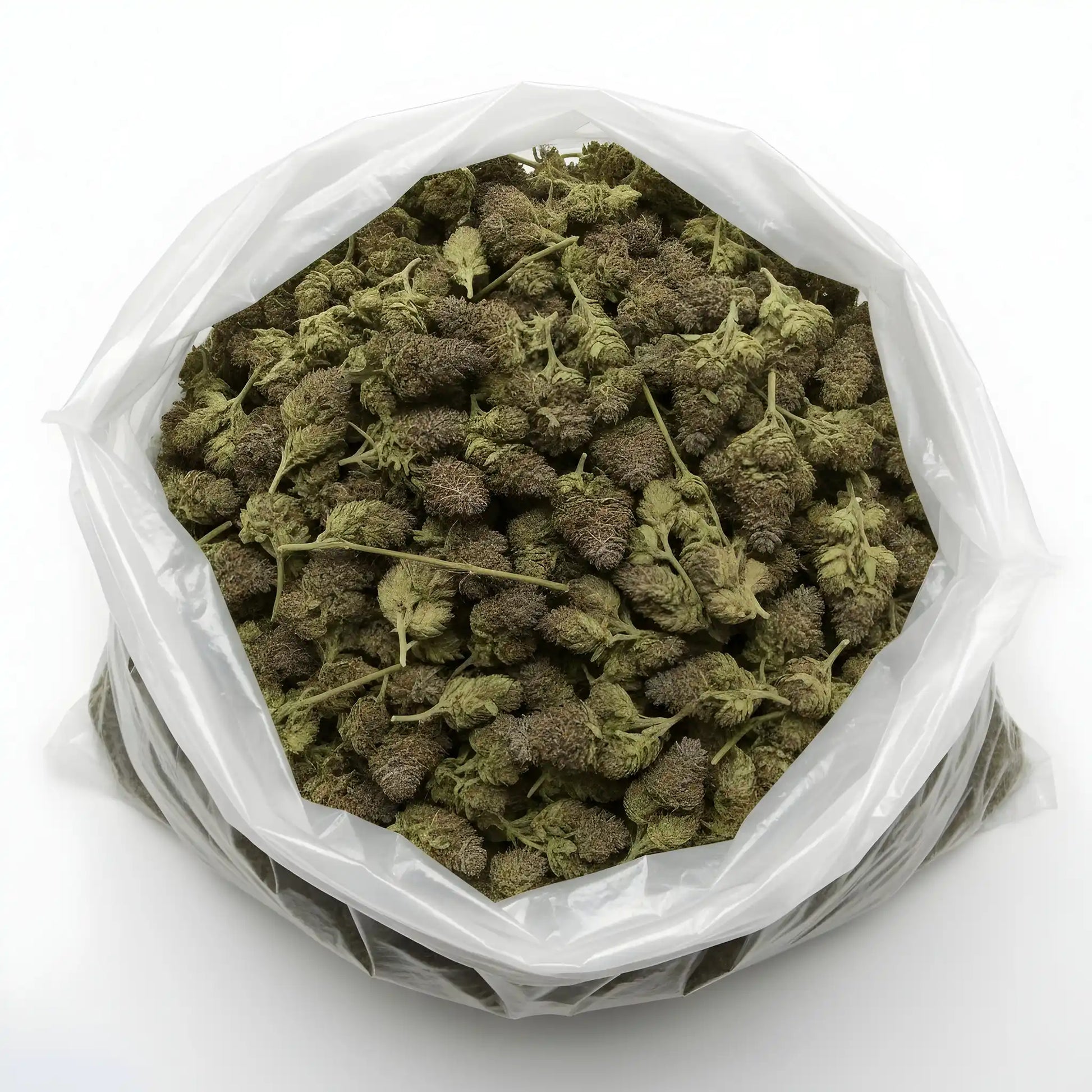 Wholesale photo of Yellow Tail THCa Hemp Flower featuring bulk AAA-grade sativa-dominant hybrid buds with lime-green color, golden glow, and 21% THCa potency