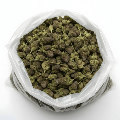 Wholesale photo of Yellow Tail THCa Hemp Flower featuring bulk AAA-grade sativa-dominant hybrid buds with lime-green color, golden glow, and 21% THCa potency