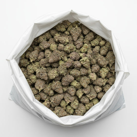 Thick, frosty buds with dark purple tones and white crystal coverage give this strain a “blizzard” effect.