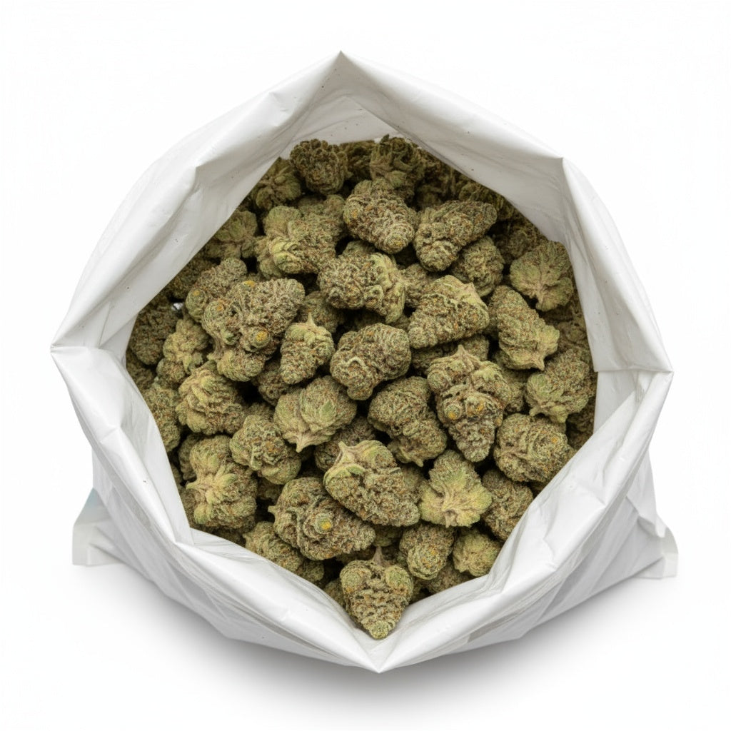 Pineapple Ex showcases vibrant lime-green buds covered in golden trichomes and fiery orange hairs