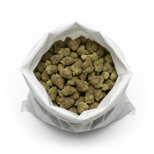 This strain showcases vibrant green buds accented by fiery orange pistils and a frosty trichome coat