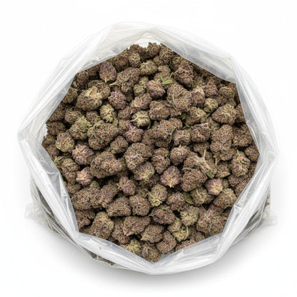 Deep forest green buds with streaks of violet, layered in sticky resin and bright orange hairs.