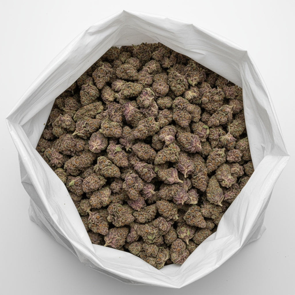 Super Boof features dense, chunky buds with deep purple hues and fiery orange pistils blanketed in trichomes.