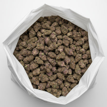 Super Boof features dense, chunky buds with deep purple hues and fiery orange pistils blanketed in trichomes.